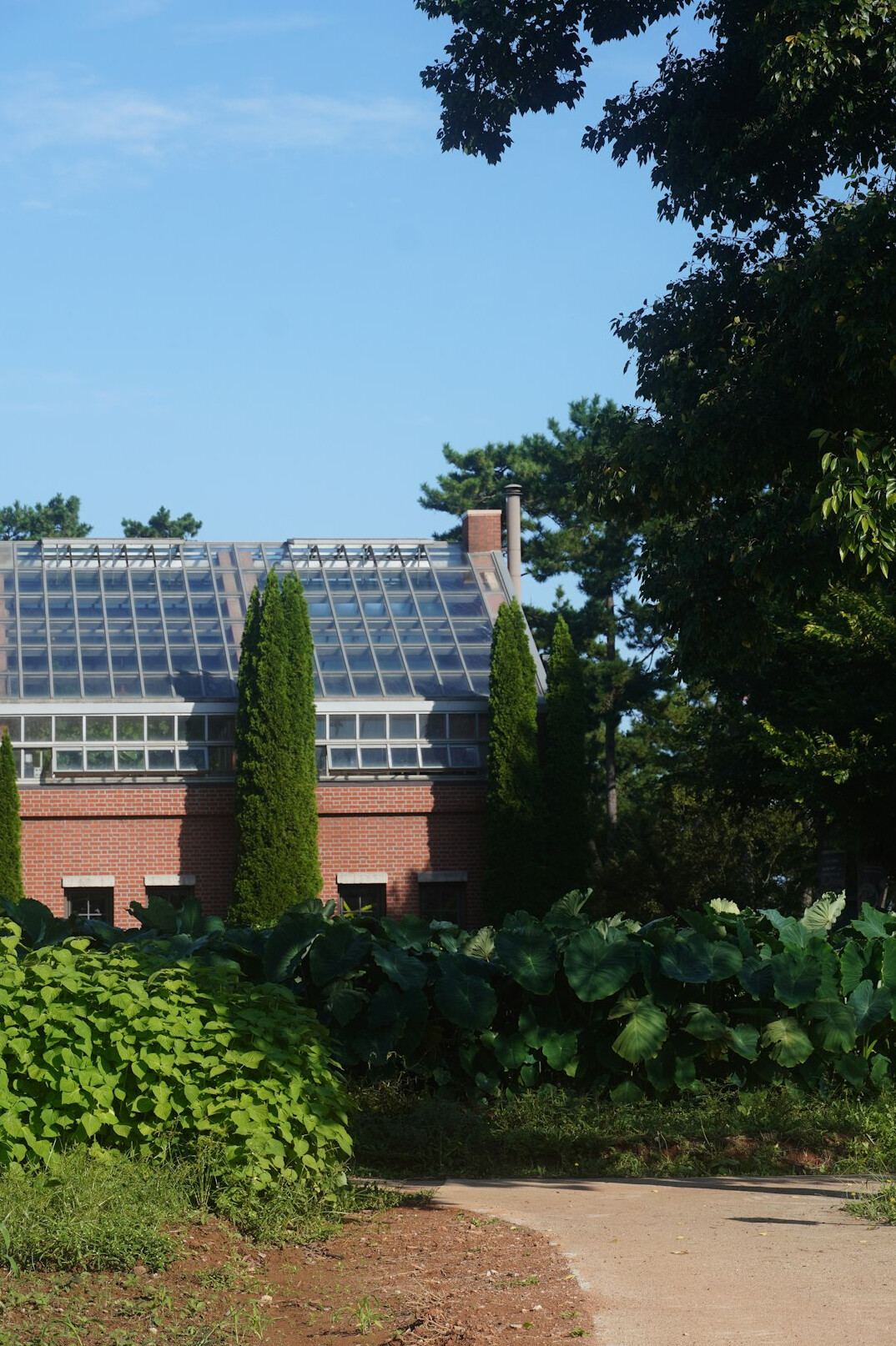 Solar panels in a garden with nearby trees casting shadows