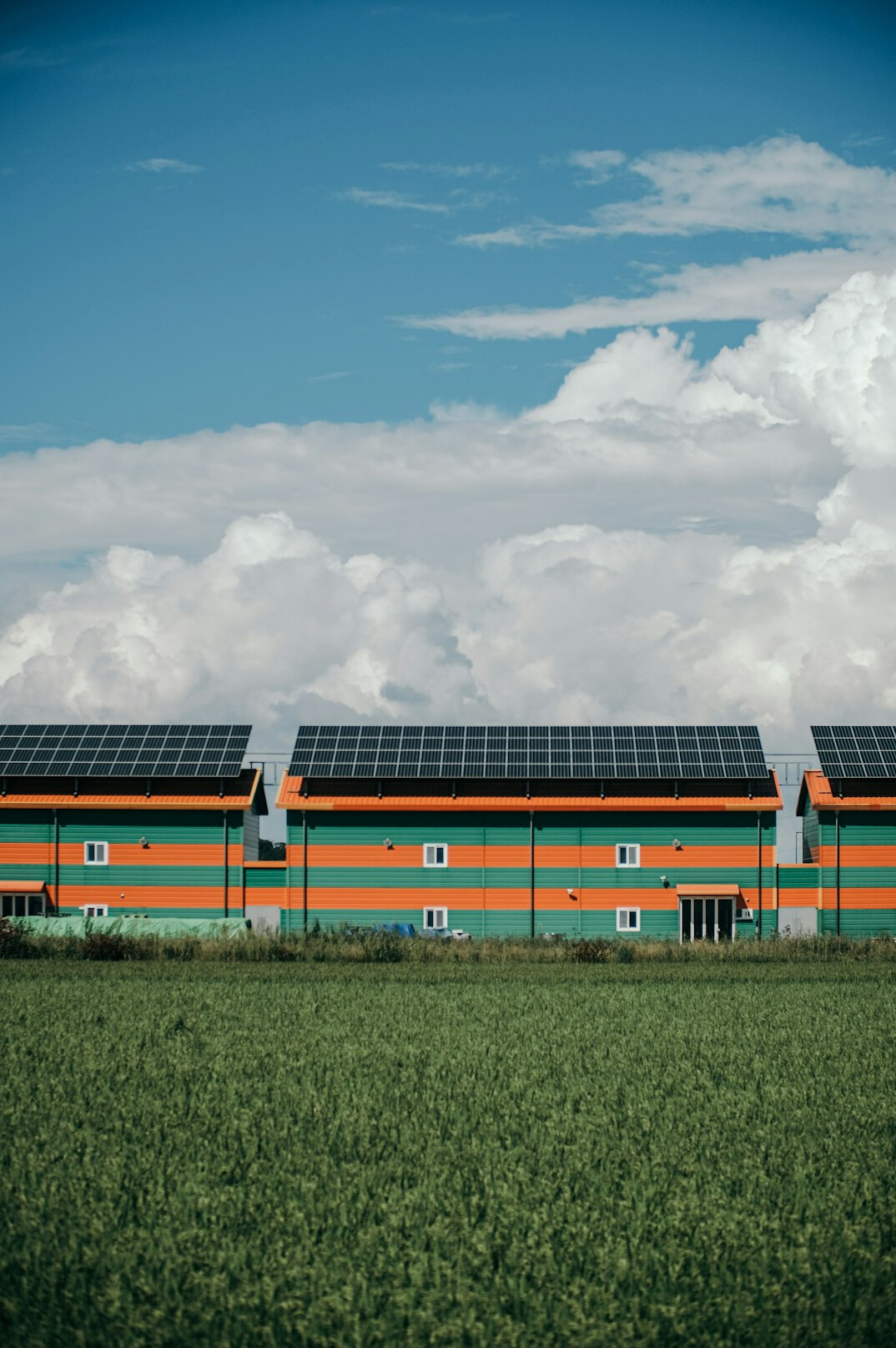 Rows of solar panels in an open field facing south